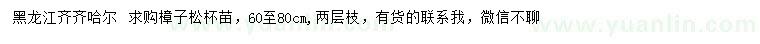 求購(gòu)60-80公分樟子松