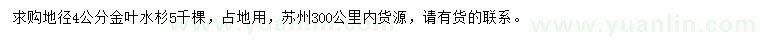 求購地徑4公分金葉水杉