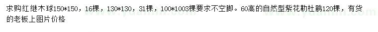 求購100*100、130*130、150*150紅繼木球、高30公分紫花勒杜鵑