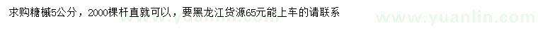 求購5公分糖槭