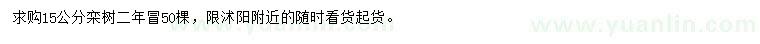 求購15公分欒樹