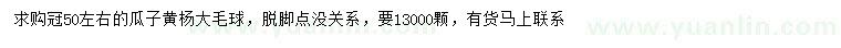 求購冠幅50公分左右瓜子黃楊大毛球