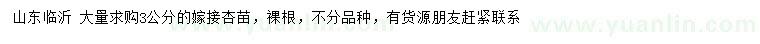求購(gòu)3公分嫁接杏苗