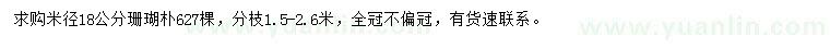 求購米徑18公分珊瑚樸