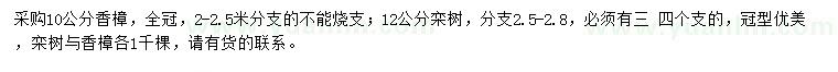 求購(gòu)10公分香樟、12公分欒樹(shù)
