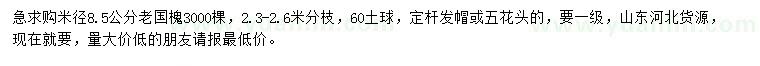 求購米徑8.5公分老國槐