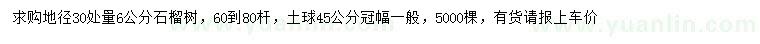 求購30量6公分石榴樹