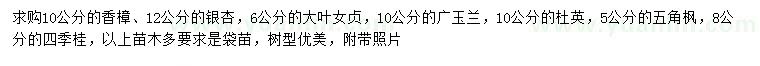 求購(gòu)香樟、銀杏、大葉女貞等