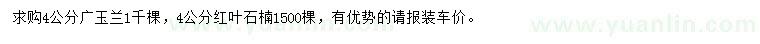 求購4公分廣玉蘭、紅葉石楠