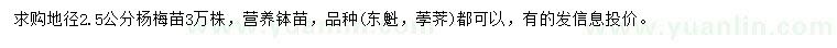 求購(gòu)地徑2.5公分楊梅