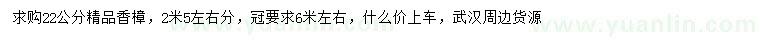 求購22公分精品香樟