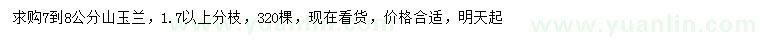 求購7-8公分山玉蘭