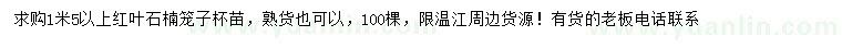 求購(gòu)1.5米以上紅葉石楠