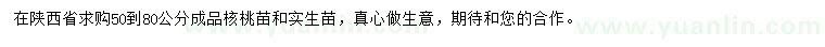 求購(gòu)50-80公分核桃苗