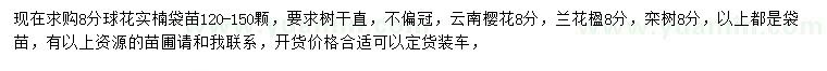 求購球花石楠、云櫻花、蘭花楹等