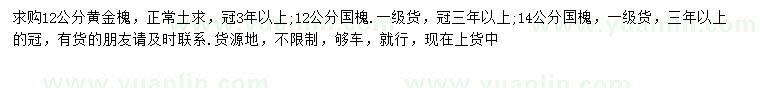 求購12公分黃金槐、12、14公分國槐