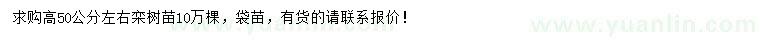 求購高50公分左右欒樹苗