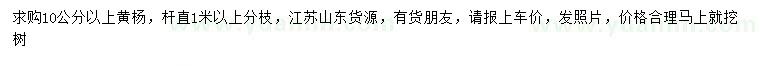 求購10公分以上黃楊