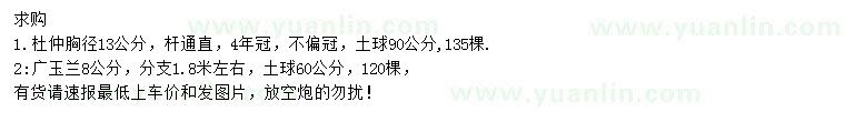 求購(gòu)胸徑13公分杜仲、8公分廣玉蘭