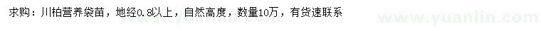 求購(gòu)地徑0.8公分以上川柏