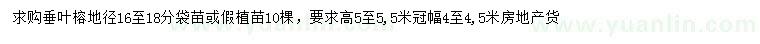 求購地徑16-18分垂葉榕