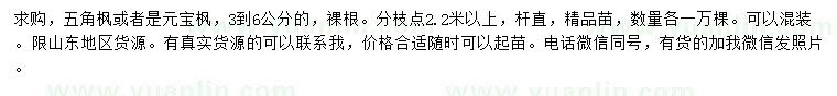求購(gòu)3-6公分五角楓或元寶楓