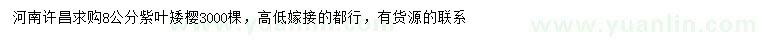 求購(gòu)8公分紫葉矮櫻