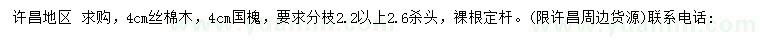 求購4公分絲棉木、國槐