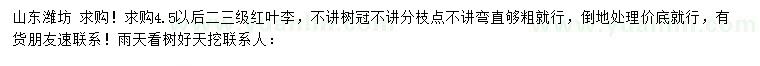 求購(gòu)4.5公分以上紅葉李