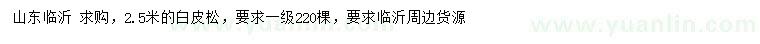 求購2.5米白皮松