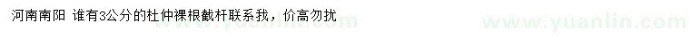 求購(gòu)3公分杜仲小苗