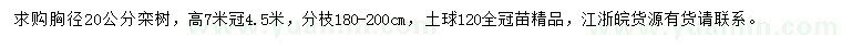 求購胸徑20公分欒樹