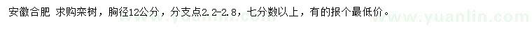 求購胸徑12公分欒樹