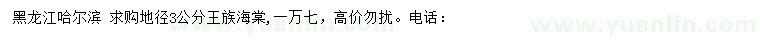 求購地徑3公分王族海棠