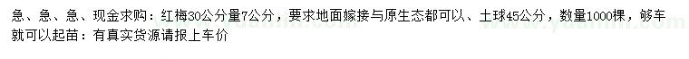 求購(gòu)30量7公分紅梅