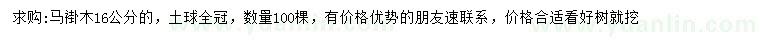 求購(gòu)16公分馬褂木