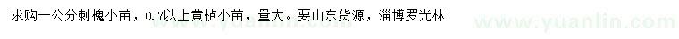 求購(gòu)1公分刺槐小苗、0.7公分以上黃櫨小苗