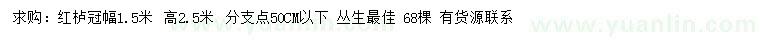 求購冠幅1.5米紅櫨
