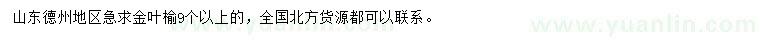 求購9公分以上金葉榆