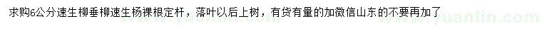 求購速生柳、垂柳、速生楊