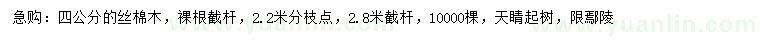求購(gòu)4公分絲棉木