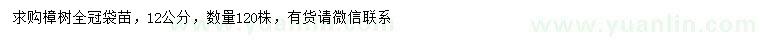 求購(gòu)12公分樟樹