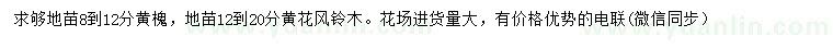 求購8-12公分黃槐、12-20公分黃花風(fēng)鈴木
