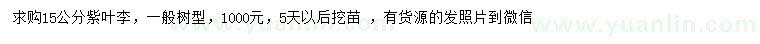 求購(gòu)15公分紫葉李