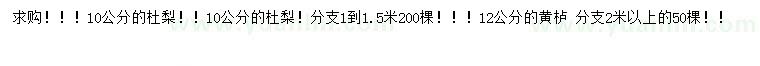 求購10公分杜梨、12公分黃櫨 