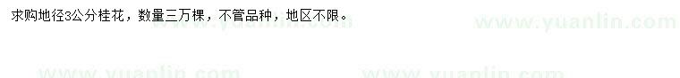 求購地徑3公分桂花