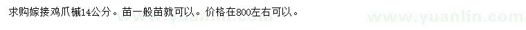 求購14公分雞爪槭