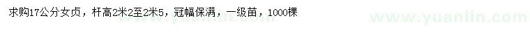 求購17公分女貞