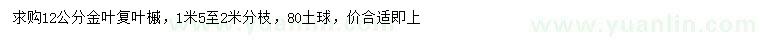 求購12公分金葉復(fù)葉槭