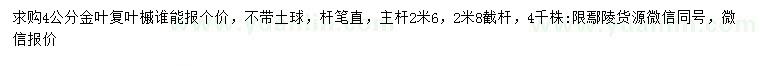 求購(gòu)4公分金葉復(fù)葉槭